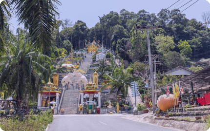 Tripkaa Travel Agent Combo — Multi-supplier cart